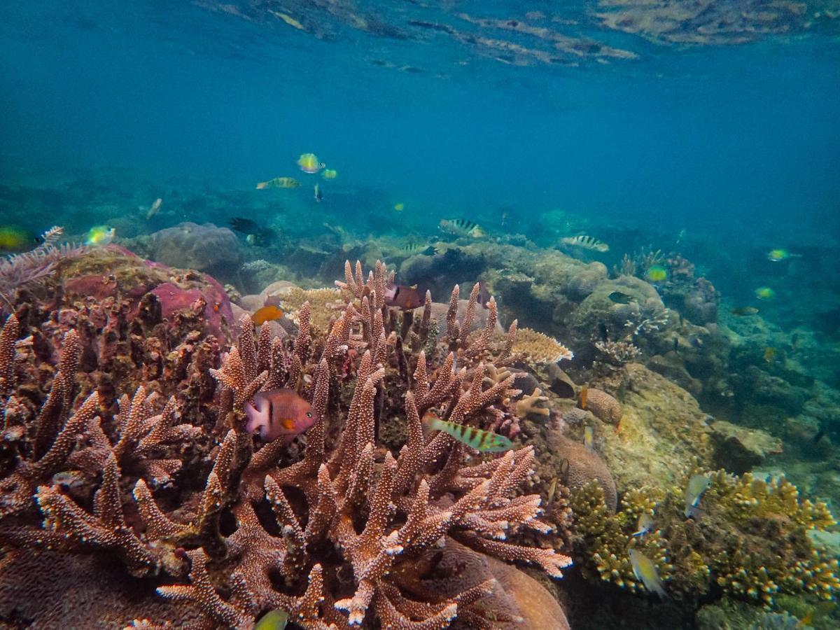 Raja Ampat Eco Lodge Tapokreng Экстерьер фото