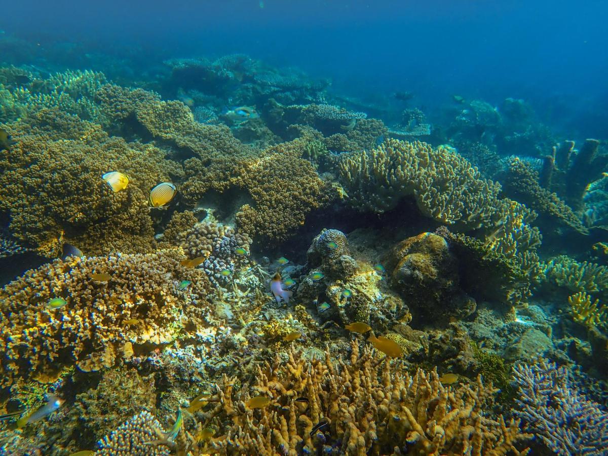 Raja Ampat Eco Lodge Tapokreng Экстерьер фото